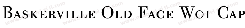 Baskerville Old Face W01 Caps字体转换